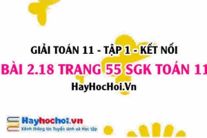 Giải bài 2.18 trang 55 Toán 11 tập 1 SGK Kết nối tri thức